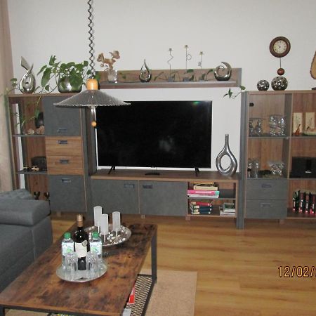 Zentrale-Ruhige Ferienwohnung Reichenbach im Vogtland Kültér fotó