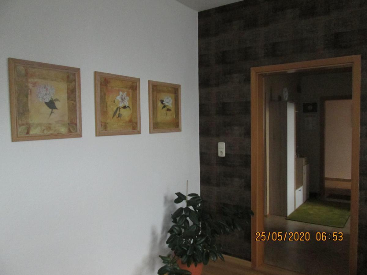 Zentrale-Ruhige Ferienwohnung Reichenbach im Vogtland Kültér fotó